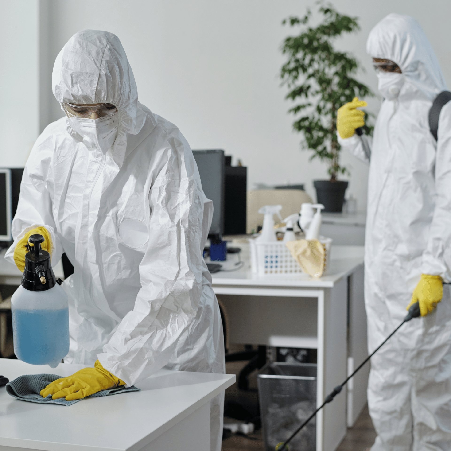 Disinfection cleaning 2